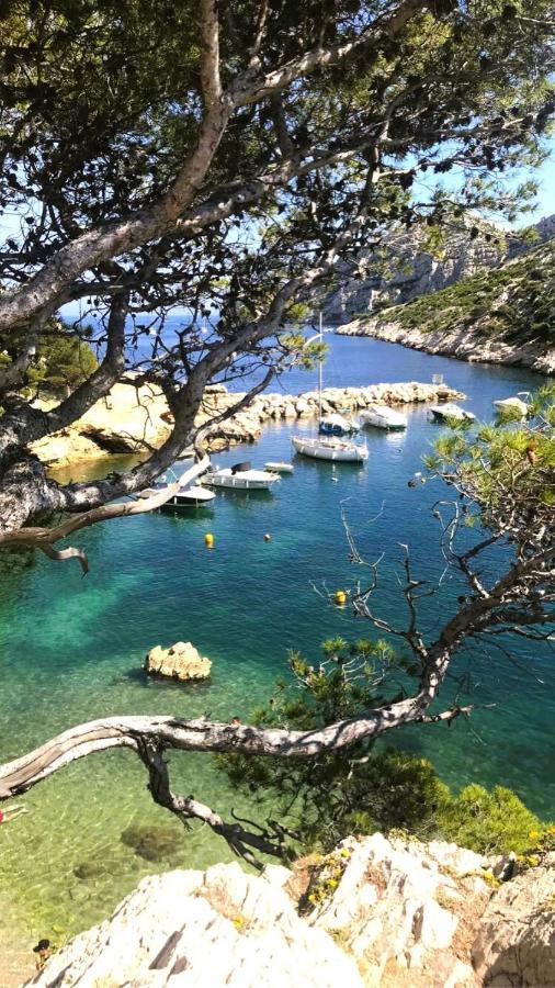 Le Sept Charmant Studio Aux Portes Des Calanques Cassis Exterior foto